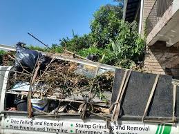 Best Garage Cleanout  in Lockport, IL