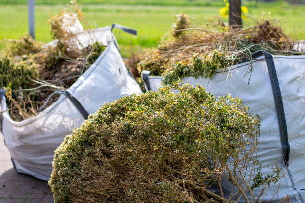 Best Residential Junk Removal  in Lockport, IL