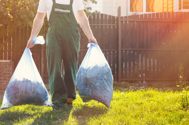 Best Electronics and E-Waste Disposal  in Lockport, IL